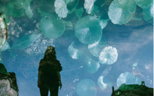 幽闭恐惧症治疗专家.jpg
