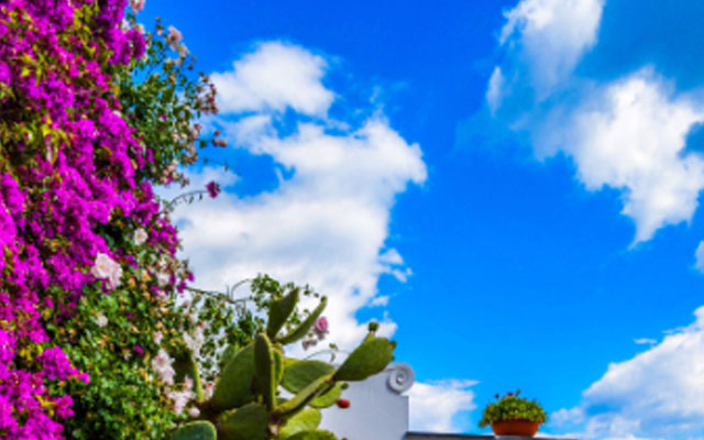 中考前心理辅导.jpg 中考前心理辅导.jpg