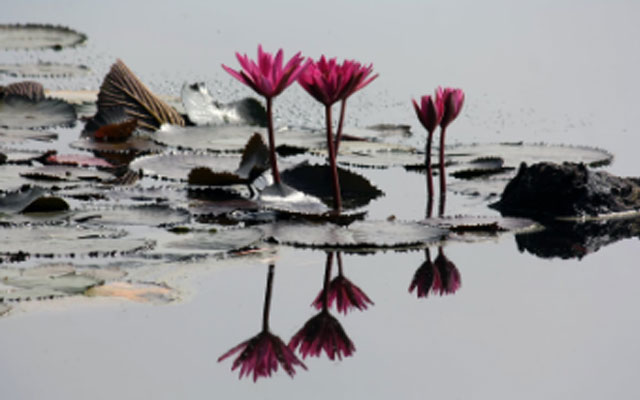 莆田心理咨询.jpg 莆田心理咨询.jpg