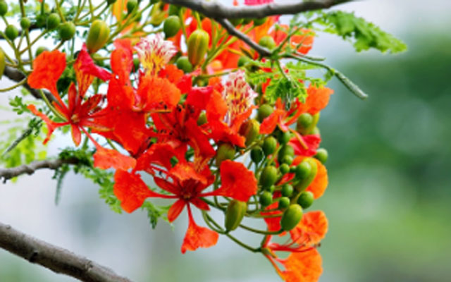 莆田心理医生.jpg 莆田心理医生.jpg