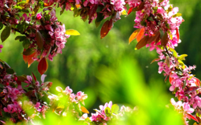 龙岩心理咨询.jpg 龙岩心理咨询.jpg